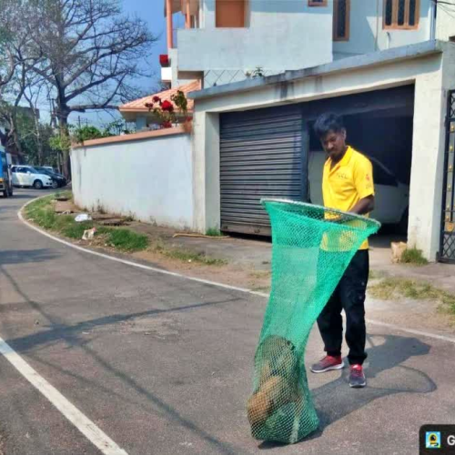 रांची में बढ़ रहे डॉग बाइट के मामले, स्ट्रीट डॉग की नसबंदी और टीकाकरण अभियान तेज