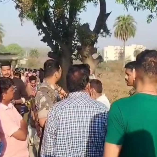 कोडरमा में जंगली हाथियों का कहर, महिला और पुरुष को कुचलकर मार डाला, इलाके में दहशत का माहौल