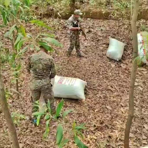 तमाड़ जंगल में पुलिस की बड़ी कार्रवाई: 7 क्विंटल अफीम-डोडा बरामद, तस्कर फरार