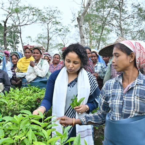 असम चुनाव 2026 में जेएमएम की एंट्री, हेमंत सोरेन संतुष्ट—कांग्रेस के वोट बैंक में सेंध के संकेत