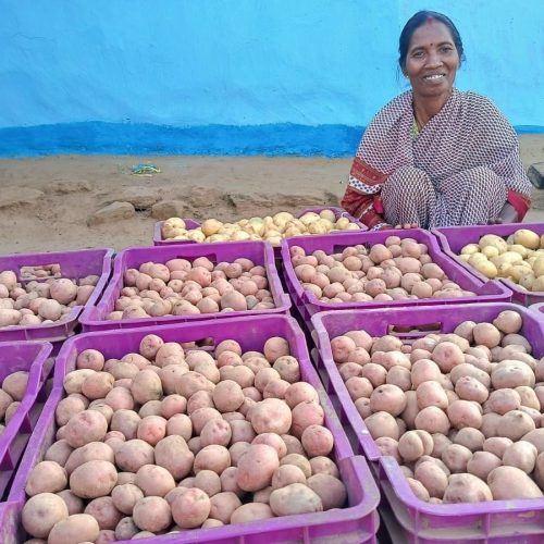 मंईयां सम्मान योजना से सशक्त हुईं मेरी किंडो, खेती-बकरी पालन से 1.21 लाख की आमदनी