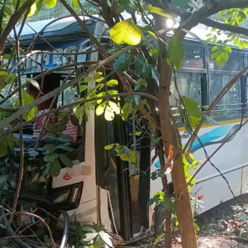कोडरमा घाटी में बड़ा हादसा: नवोदय विद्यालय की बस दुर्घटनाग्रस्त, दो दर्जन छात्राएं घायल
