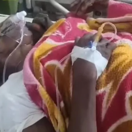 पश्चिमी सिंहभूम में हाथियों का कहर जारी: झोपड़ी में सो रही महिला पुजारी को सूंड से उठाकर पटका, 3 महीनों में 25 लोगों की मौत से दहशत