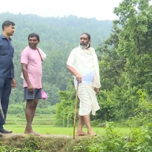 धरती पुत्र, किसान पुत्र हेमंत सोरेन, धान के खेत में खेती किसानी का जानकारी लेते दिखे।