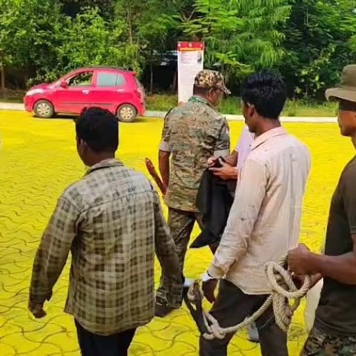 जमीनी हड़पने की लालच में सर धड़ से अलग, पास वाले जंगल में फेंका बॉडी।