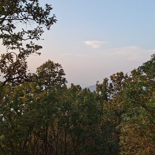 कर्रा थाना क्षेत्र के मुरहु-काटमकुकु जंगल में नग्न अवस्था में एक सर कुचला युवती का शव बरामद किया गया।