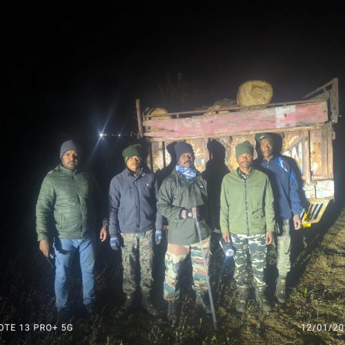 खूंटी में वन विभाग की बड़ी कार्रवाई, जामुन की लकड़ी से लदा टर्बो ट्रक जब्त