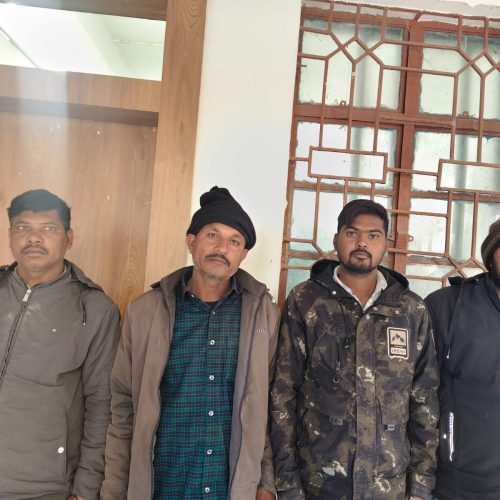 खूंटी में गौ तस्करी का बड़ा खुलासा, 102 गौवंश बरामद, चार तस्कर गिरफ्तार