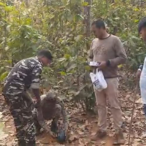 बीमार जंगली हाथी का वन विभाग कर रहा इलाज, केला-तरबूज में मिलाकर दी जा रही दवा