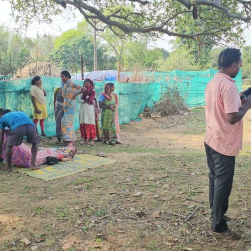 तेज रफ्तार कार की चपेट में आया मासूम, 8 वर्षीय आयुष की मौके पर दर्दनाक मौत
