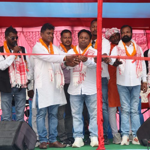 डुमरगड़ी टंगरा टोली में भव्य मंडा मेला का आयोजन, नागपुरी ऑर्केस्ट्रा ने बांधा समां