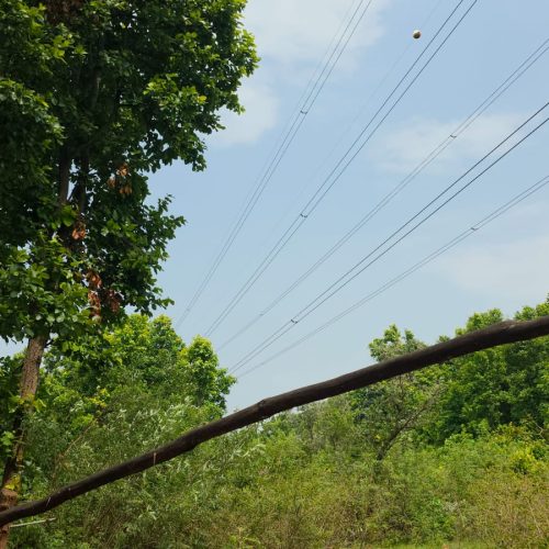 वज्रपात की चपेट में आने से महिला की मौत, गांव में पसरा मातम