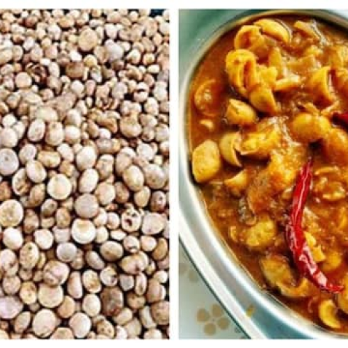 झारखंड का जंगली सुपरफूड ‘रुगड़ा’ को मिल सकता है GI टैग, 1200 रुपये किलो बिकने वाली इस अनोखी सब्जी में हैं कई औषधीय गुण