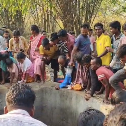 कुएं में गिरा जंगली हाथी, रेस्क्यू ऑपरेशन जारी