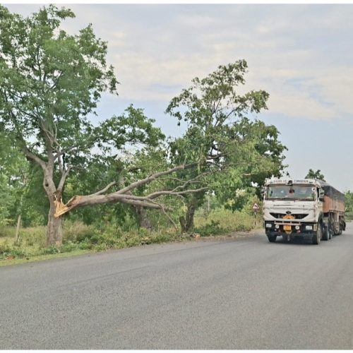 तेज आंधी-तूफान के बाद खूंटी–तमाड़ मुख्य सड़क पर खतरा, पेड़ की डाली से हादसे की आशंका