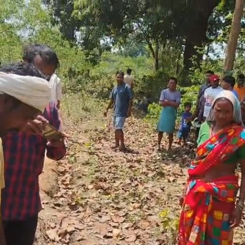 खेत में घात लगाकर आए जंगली हाथी ने ली किसान की जान, इलाके में दहशत