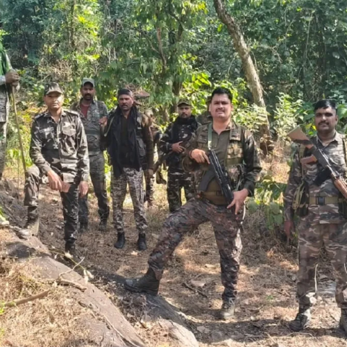चौपारण में पुलिस की बड़ी कार्रवाई: 10 एकड़ में फैली अवैध अफीम की खेती नष्ट