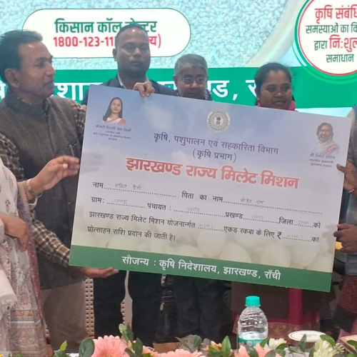 झारखंड के तीन शहरों में खुलेंगे प्रीमियम मिलेट्स कैफेटेरिया, मड़ुआ समेत मोटे अनाज की खेती को मिलेगा बढ़ावा