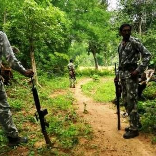 नक्सल से राजनीति तक फैला वन्यजीव तस्करी का जाल, झारखंड–बिहार–छत्तीसगढ़ में करोड़ों का अवैध कारोबार