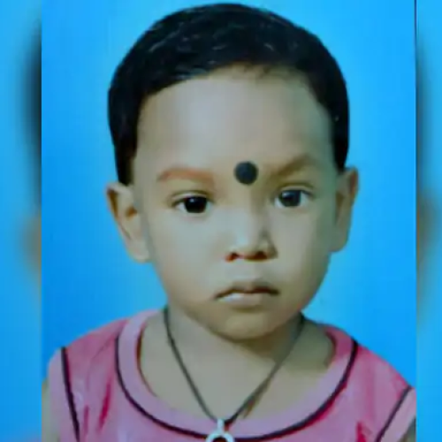 कोडरमा में मधुमक्खियों के हमले में 5 साल की बच्ची की मौत, दो अन्य घायल