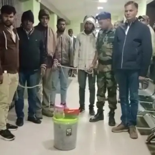 पलामू में इंटरनेशनल वन्यजीव तस्करी रैकेट का भंडाफोड़: 20KG पेंगोलिन शल्क और 1.2 लीटर सांप का जहर बरामद, कीमत 80 करोड़
